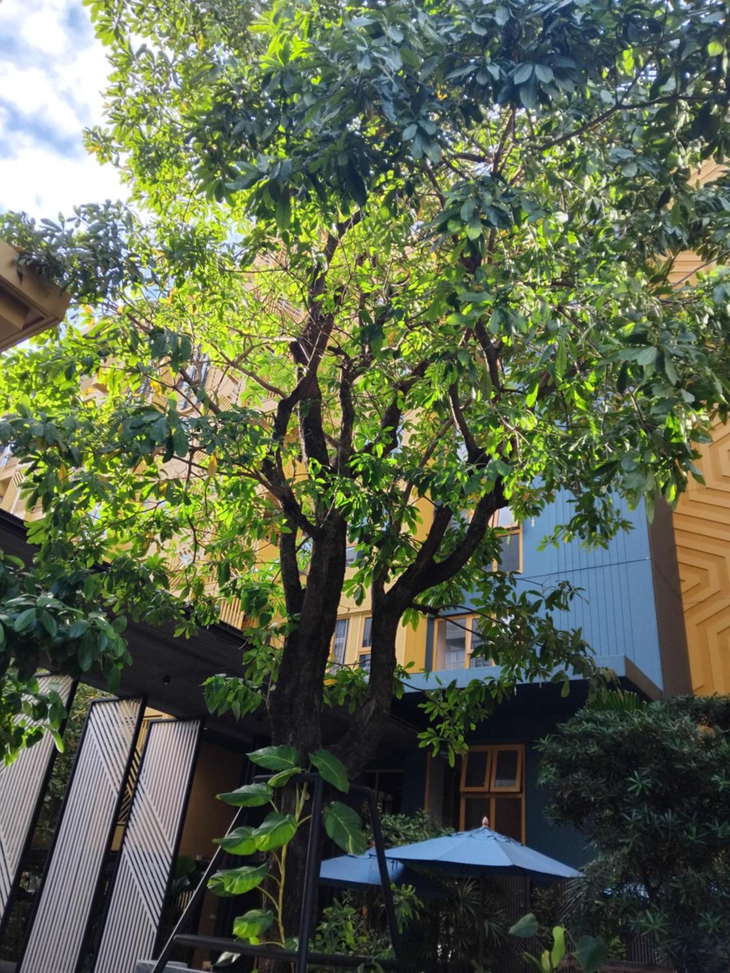 شقة Brissluxe At Bts Onnut Sukumvit 50 بانكوك المظهر الخارجي الصورة